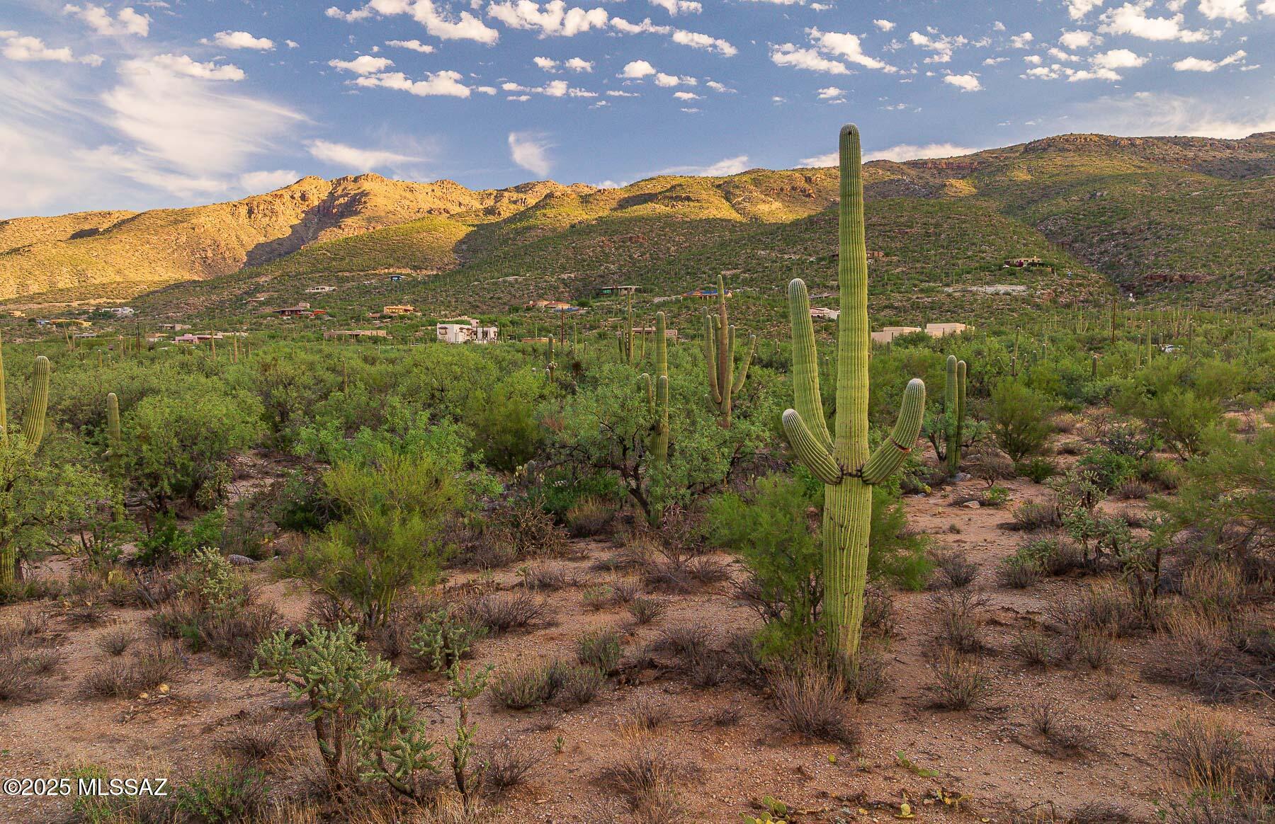 12550 East Horsehead Road Tucson, AZ 85749 - Photo 18 of 29