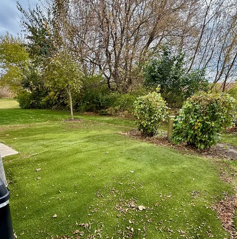 a view of a field with a tree