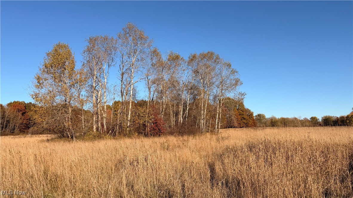 307 State Route Dorset, OH 44032 - Photo 1 of 50