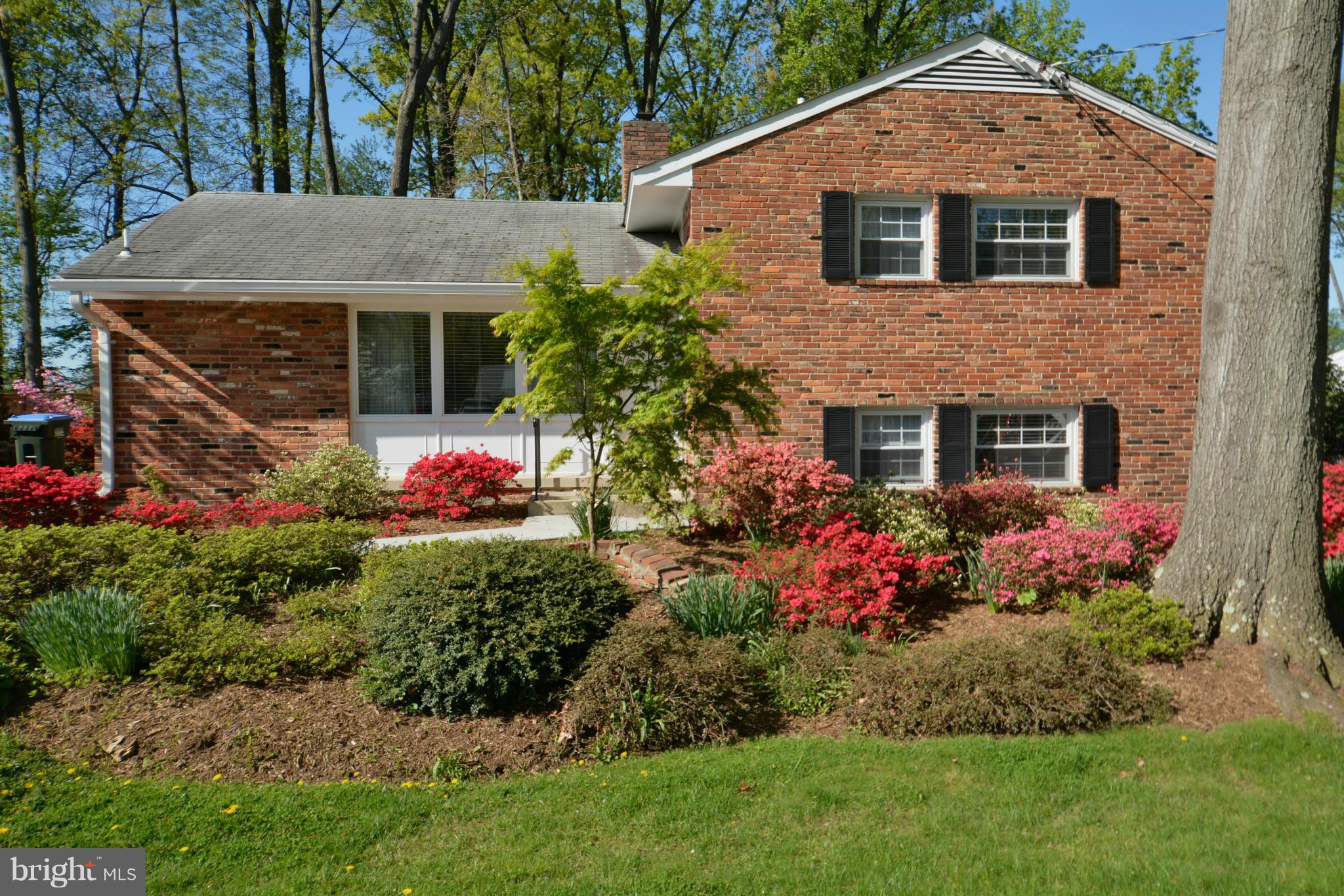 7515 Axton Street Springfield, VA 22151 - Photo 1 of 30 Interior (General)