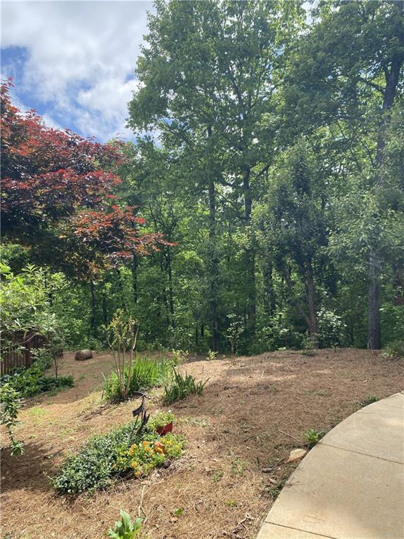 159 Prospect Road Cleveland, GA 30528 - Photo 48 of 58
