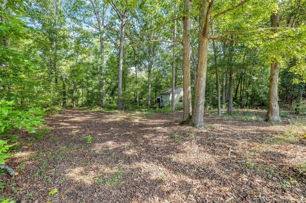 3834 Covered Bridge Place Gainesville, GA 30506 - Photo 29 of 43