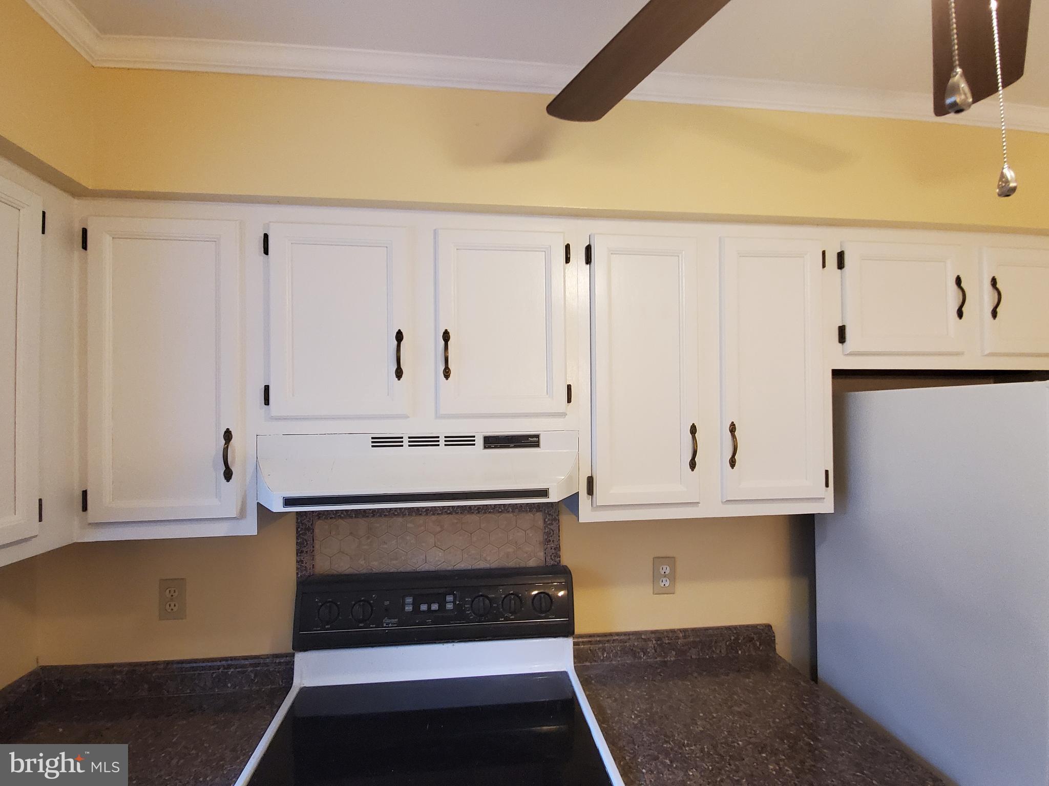 2016 Brunt Street Baltimore, MD 21217 - Photo 6 of 22 Kitchen Cabinets