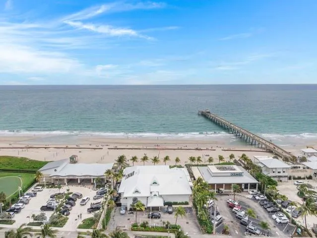 a view of a dry yard with lots of trees