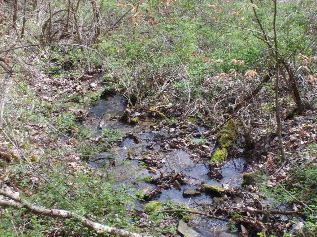 Buckeye Road Renick, WV 24966 - Photo 10 of 16 Gallery Image 10