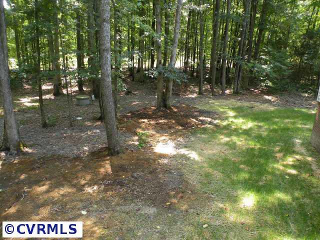 8841 South Genito Road Jetersville, VA 23083 - Photo 6 of 6 Gallery Image 6