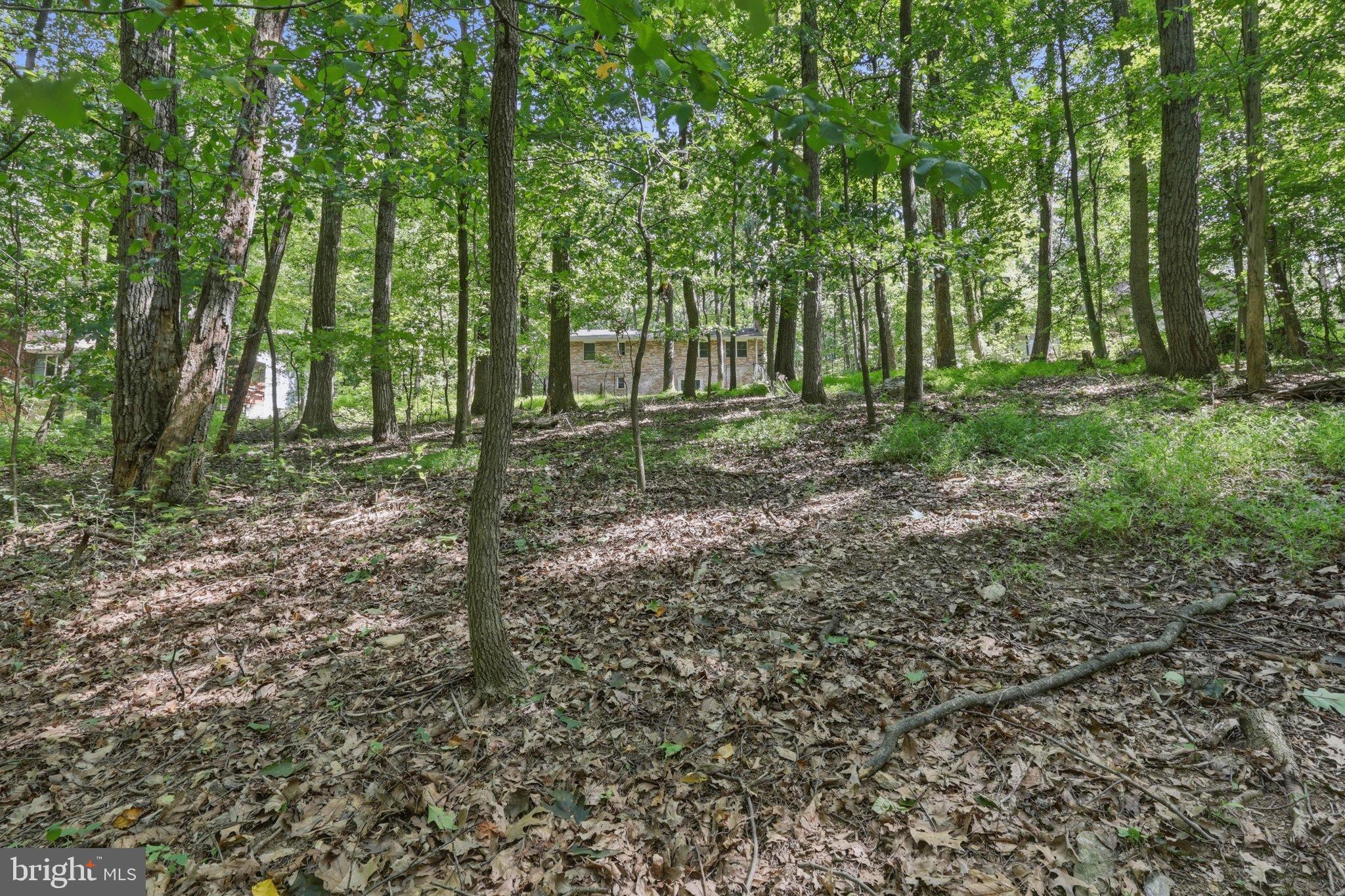 4404 Buffalo Road Mount Airy, MD 21771 - Photo 17 of 20 Rear Yard