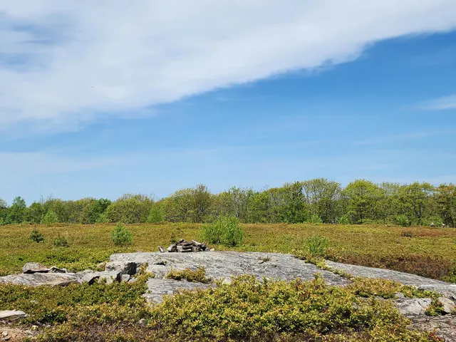 $250,000 | 2 Whispering Berries Hill, Liberty, ME 04949