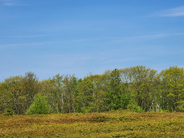 $250,000 | 2 Whispering Berries Hill, Liberty, ME 04949