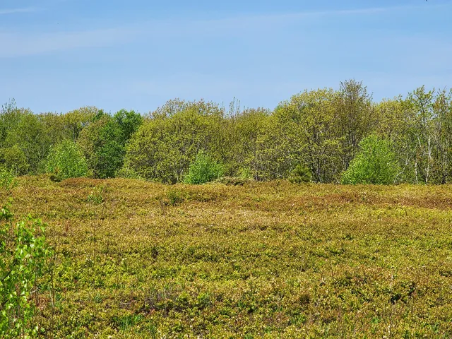 $250,000 | 2 Whispering Berries Hill, Liberty, ME 04949