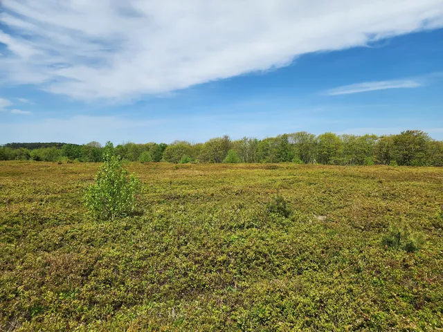 $250,000 | 2 Whispering Berries Hill, Liberty, ME 04949