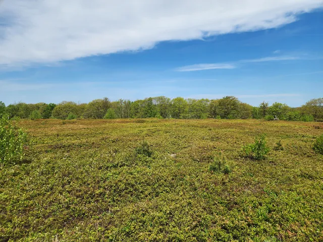 $250,000 | 2 Whispering Berries Hill, Liberty, ME 04949