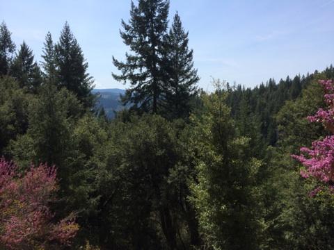30-acres Bowerman Ridge Road, Unit NONE Trinity Center, CA 96091 - Photo 1 of 7