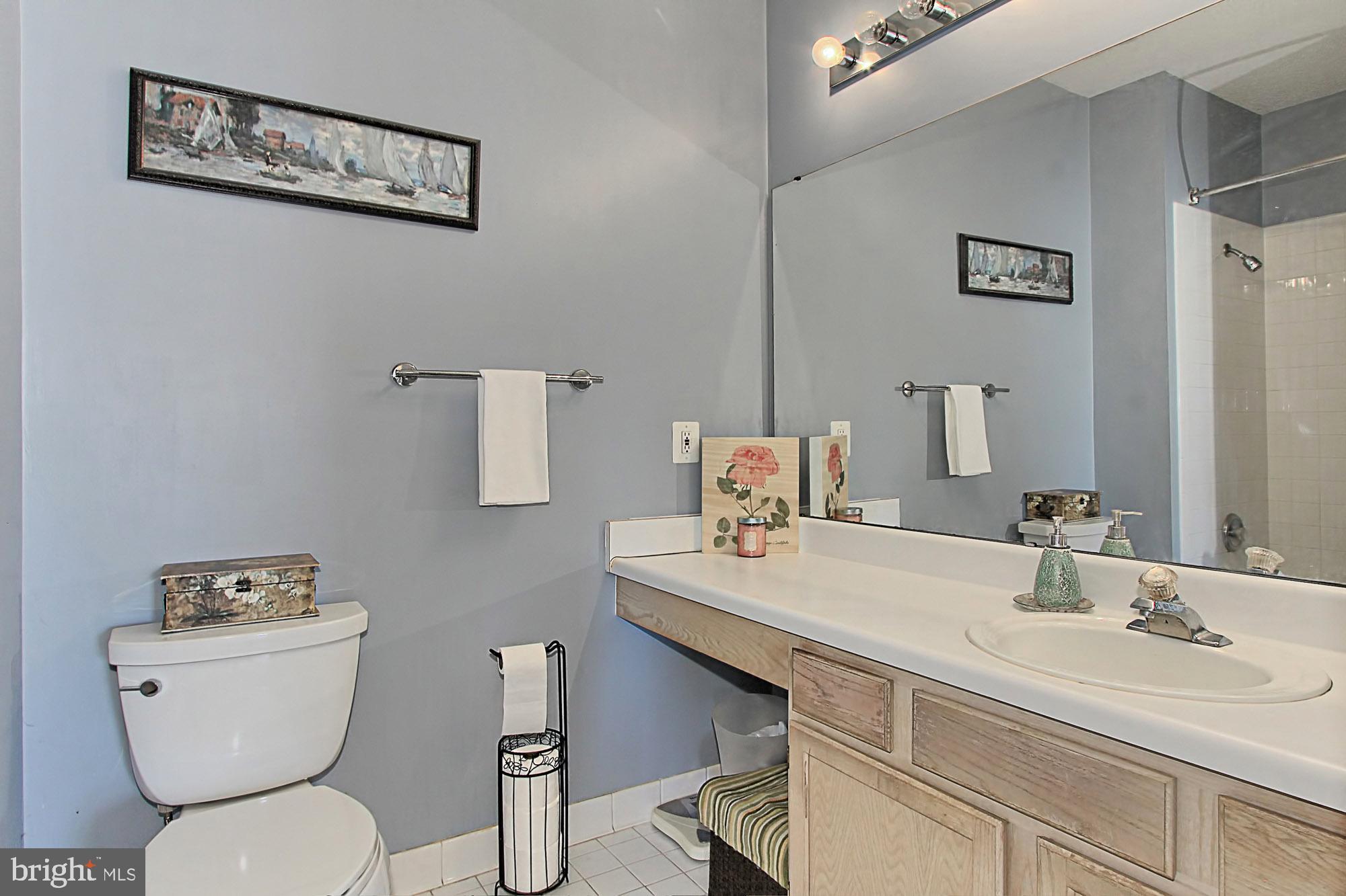 1708 Lake Shore Crest Drive, Unit 24 Reston, VA 20190 - Photo 19 of 29 Large Updated Bathroom w/ Lots of Counter Space