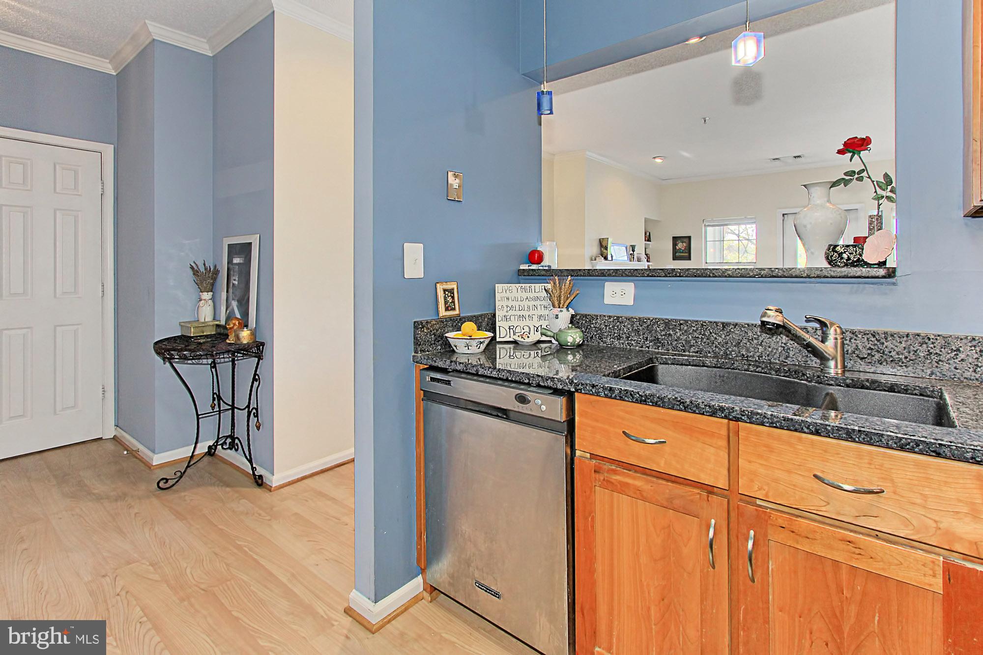 1708 Lake Shore Crest Drive, Unit 24 Reston, VA 20190 - Photo 8 of 29 Extra Large Sink and Lots of Counter Space!