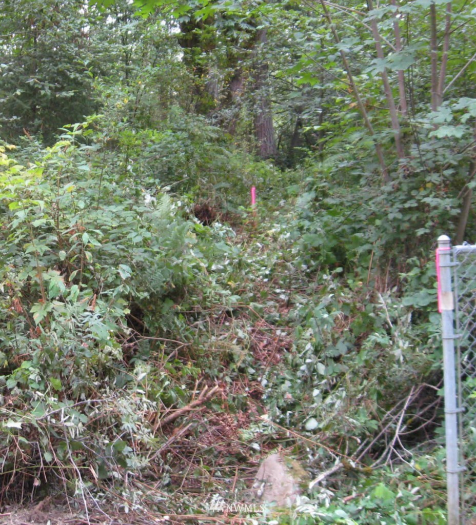 20003 Southeast 142nd Street Renton, WA 98059 - Photo 12 of 12