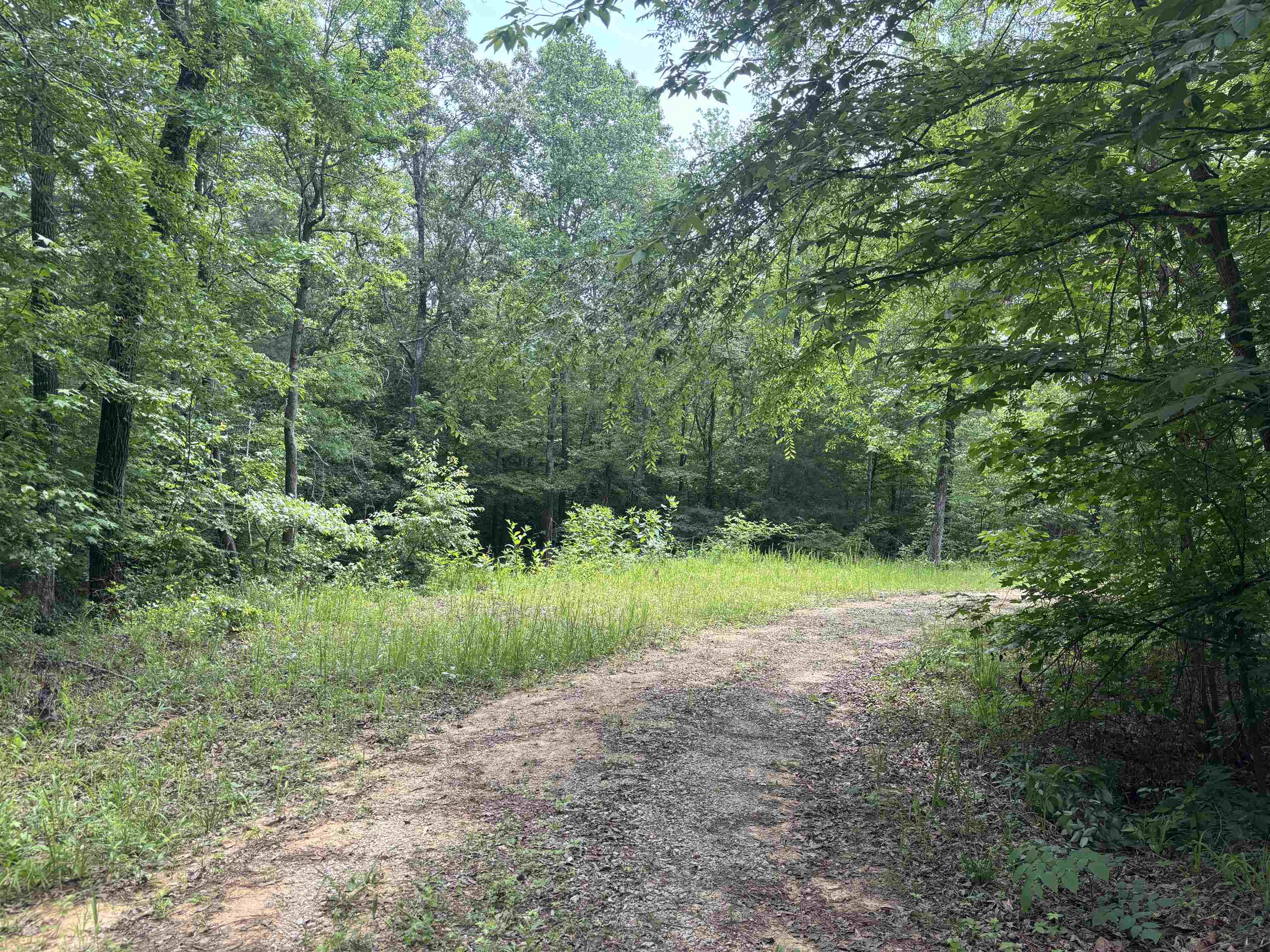 19.5-acres McMahan Road Middleton, TN 38052 - Photo 7 of 28
