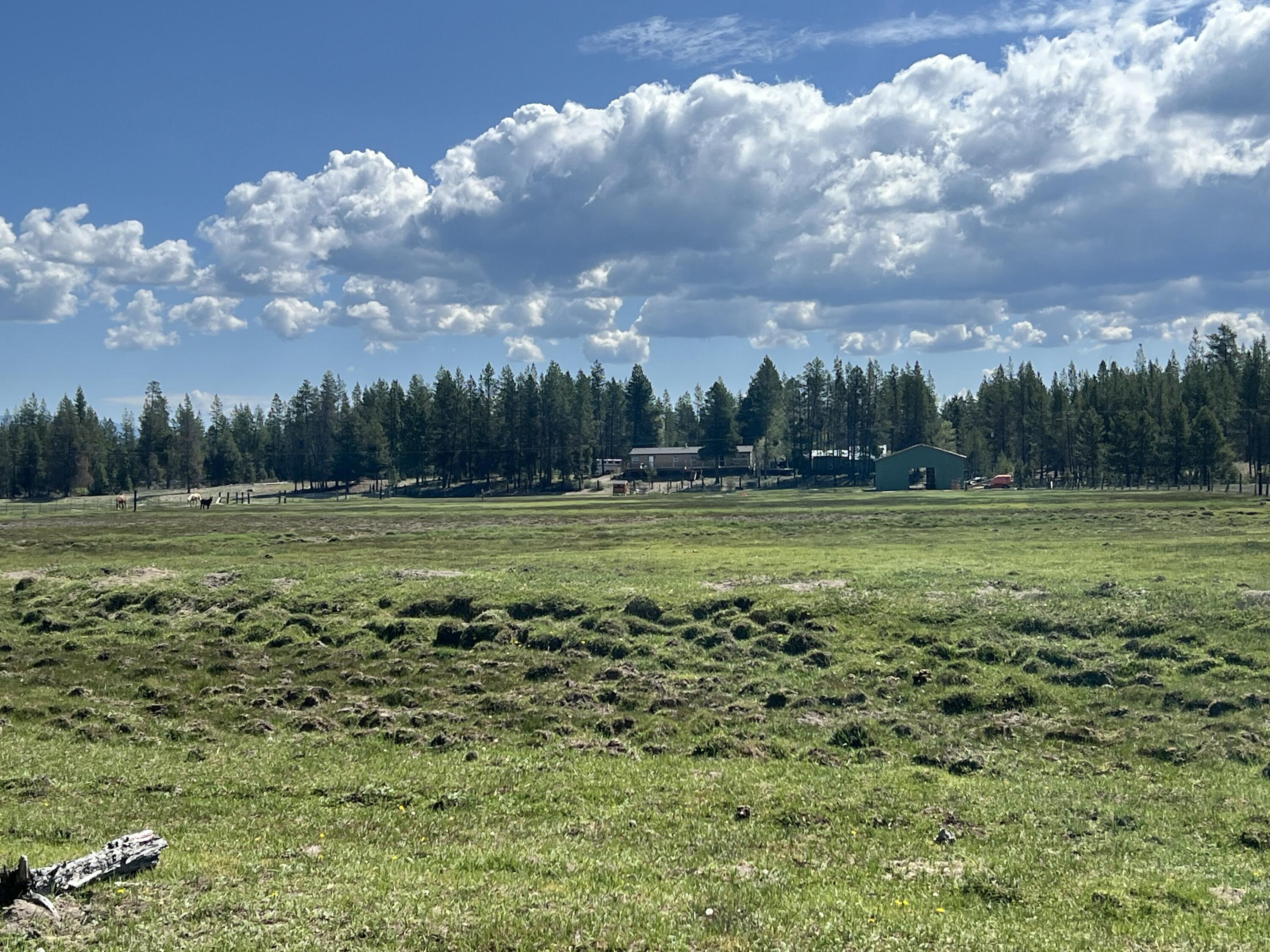 151772 Beal Road La Pine, OR 97739 - Photo 29 of 35 pasture looking back at house