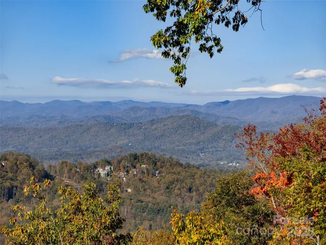 a view of a pathway in a yard