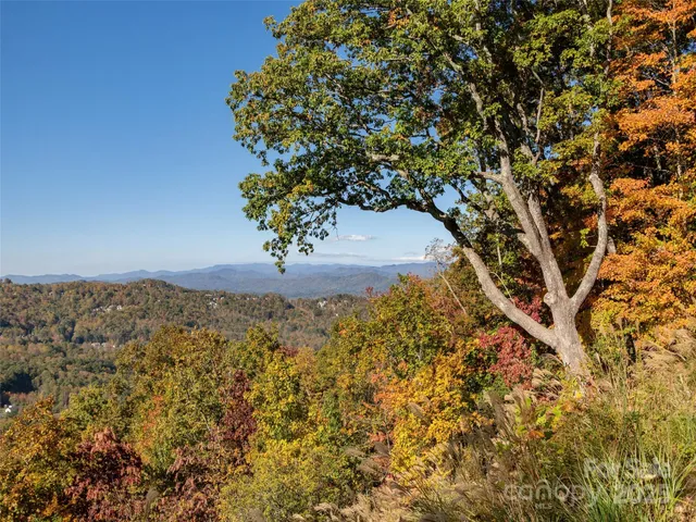 a vase of flowers sitting on a table