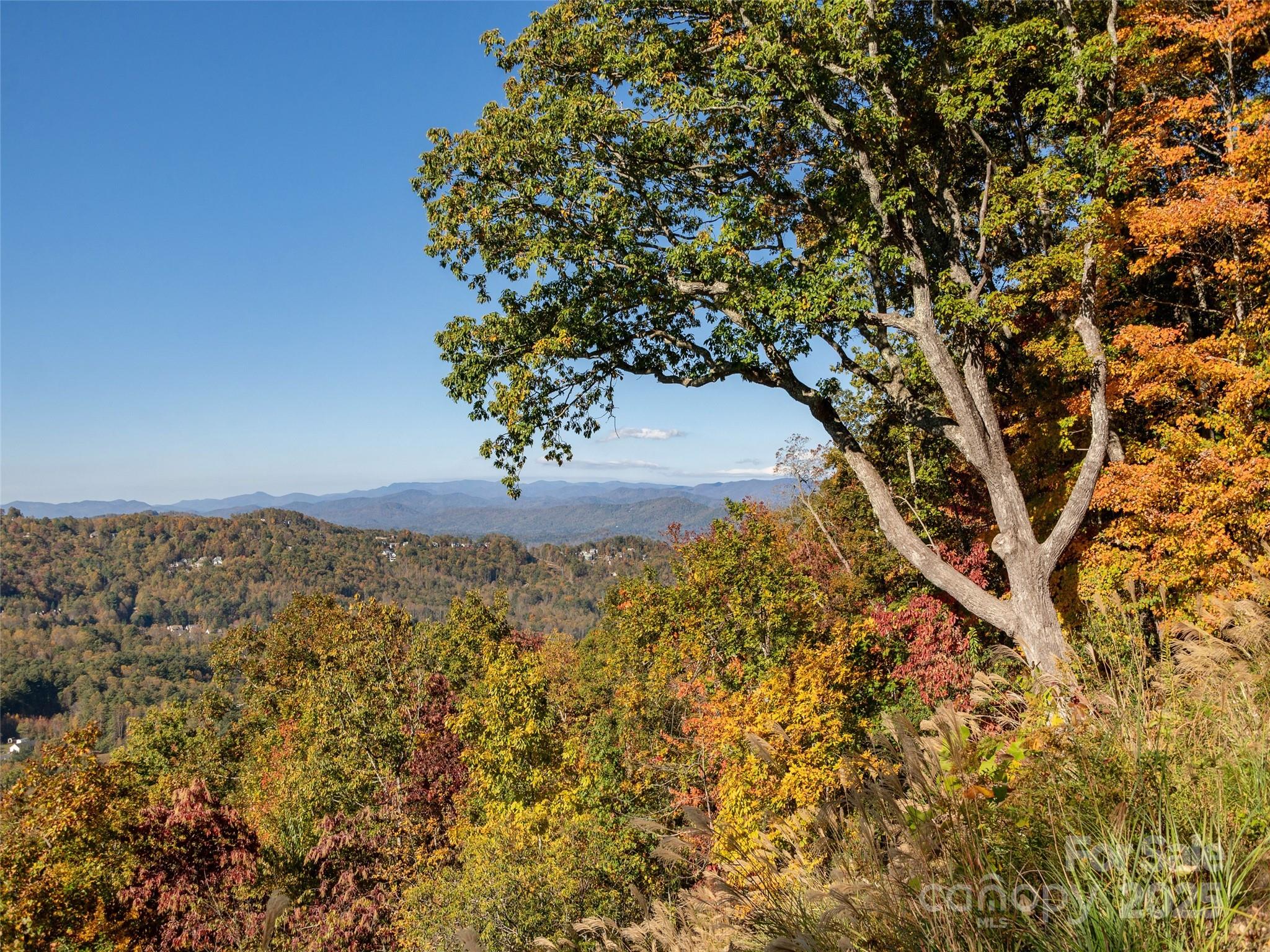 Lot E10 Marble Heights Trail, Unit NONE Hendersonville, NC 28791 - Photo 9 of 16 a vase of flowers sitting on a table