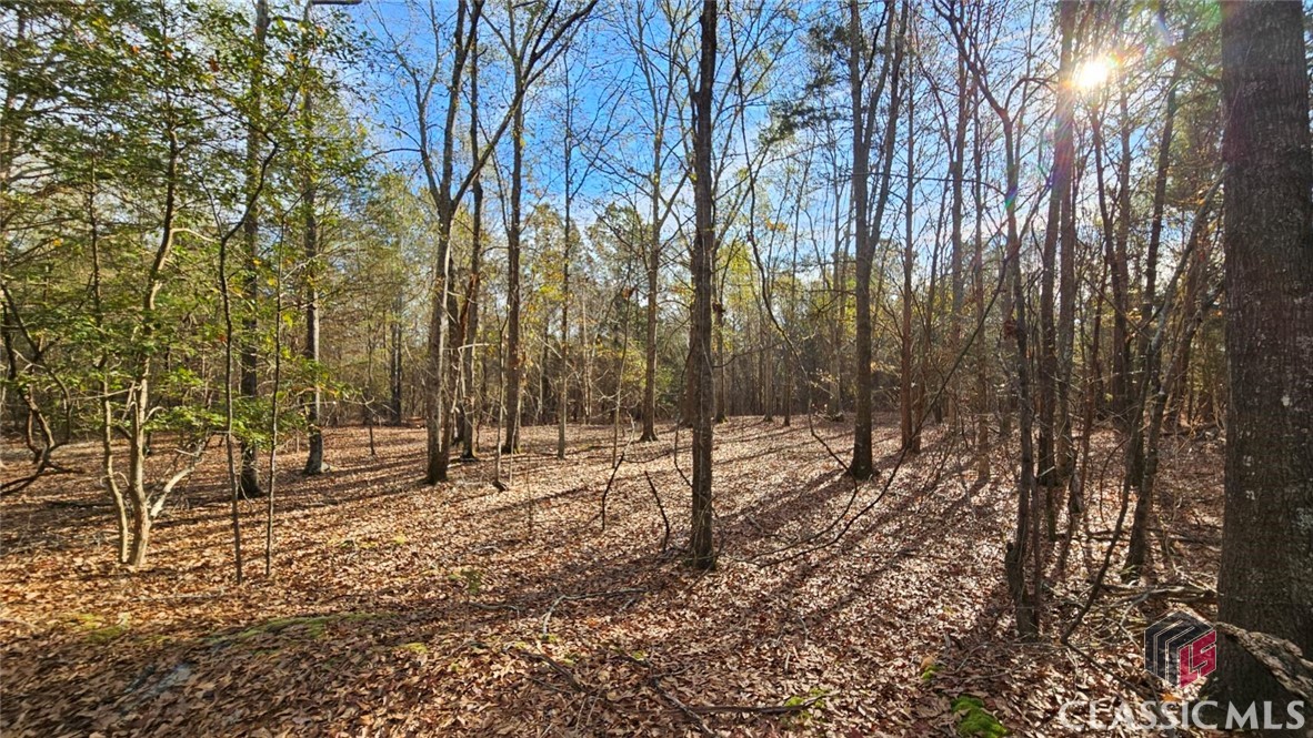 0 Nowhere Road Athens, GA 30601 - Photo 4 of 30