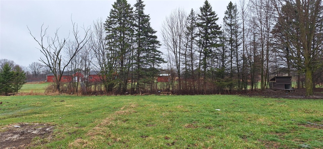 1251 East Station Road Sheridan, MI 48884 - Photo 10 of 11