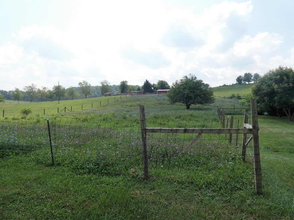 2936 Cedar Springs Road Sugar Grove, VA 24375 - Photo 33 of 47 Gallery Image 33