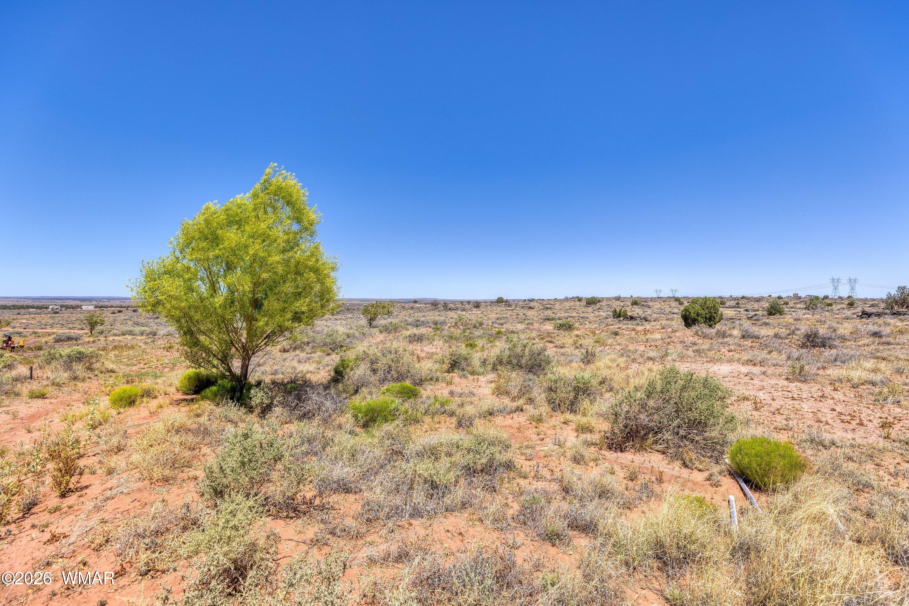 8338 Chipewa Trail Snowflake, AZ 85937 - Photo 22 of 29 Trees