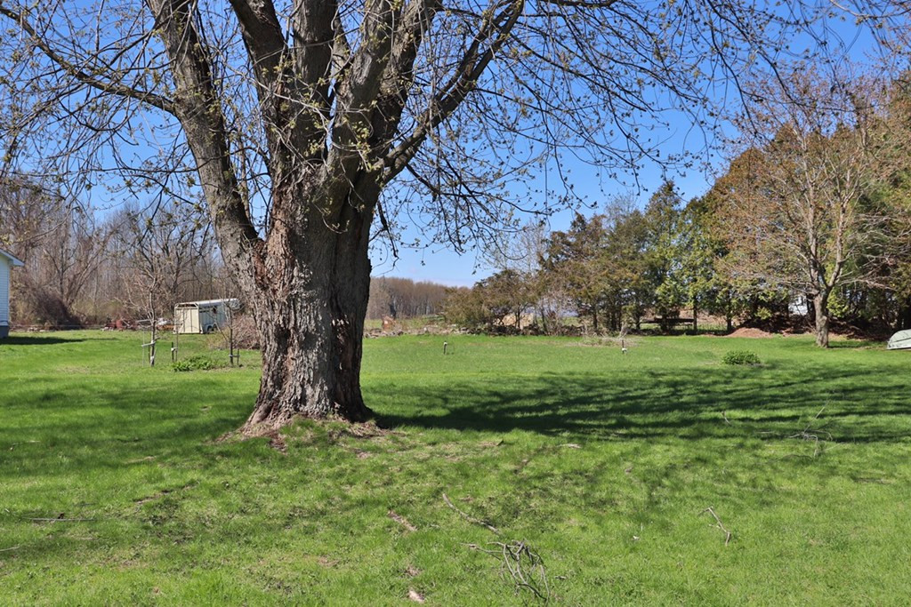 39 Dickson Point Road Plattsburgh, NY 12901 - Photo 19 of 26 Gallery Image 19