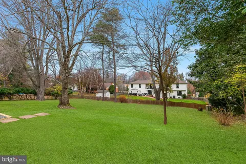 a view of a park with large trees