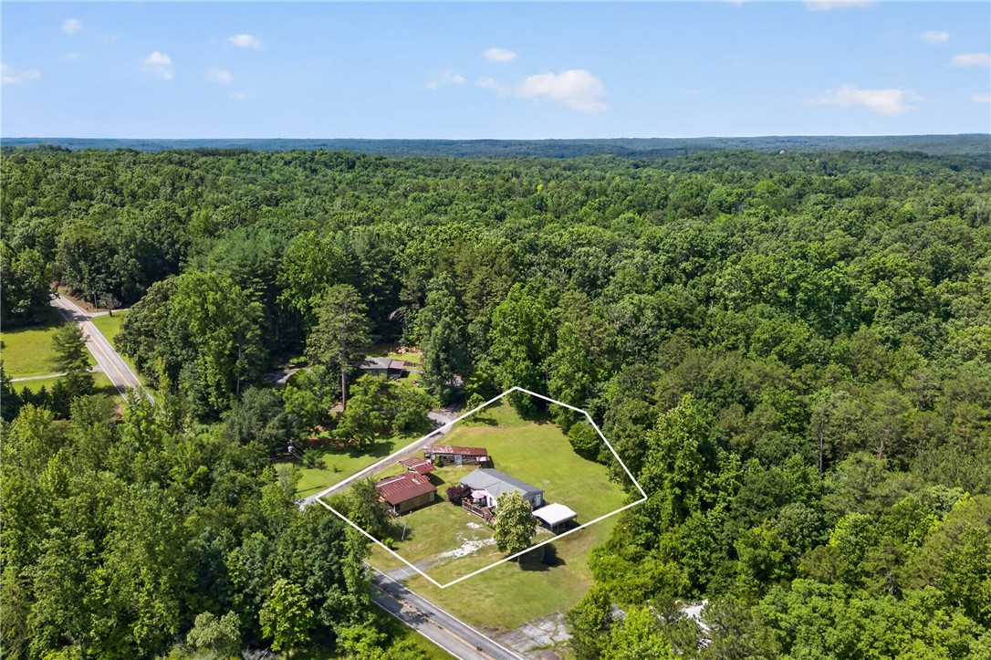 418 Chauga Road Westminster, SC 29693 - Photo 30 of 38 An aerial perspective reveals a secluded home nestled among a lush, mature tree canopy, offering privacy.