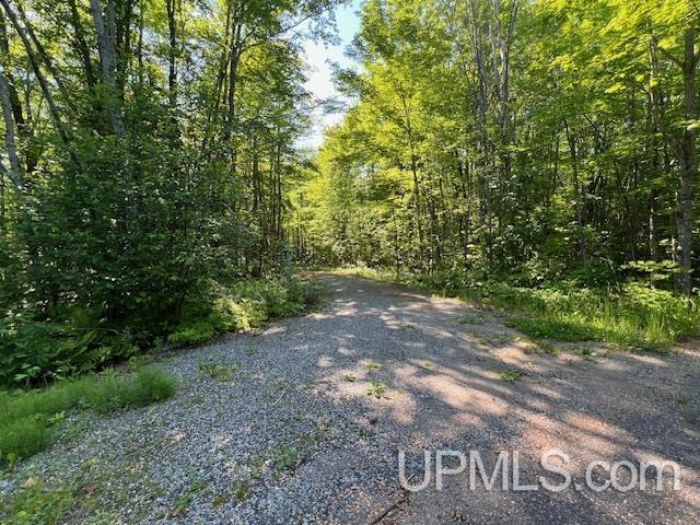 11.6 Acres Off Remington Road Marquette, MI 49855 - Photo 12 of 39
