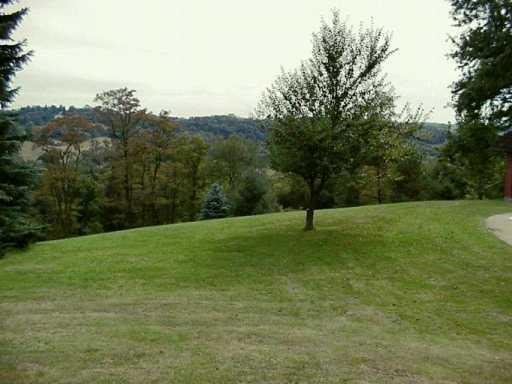 View. 