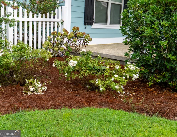 a plant that is in front of house