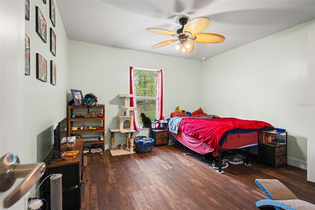 18336 Macek Road Weeki Wachee, FL 34614 - Photo 22 of 49