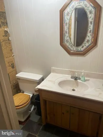a bathroom with a toilet a sink and mirror