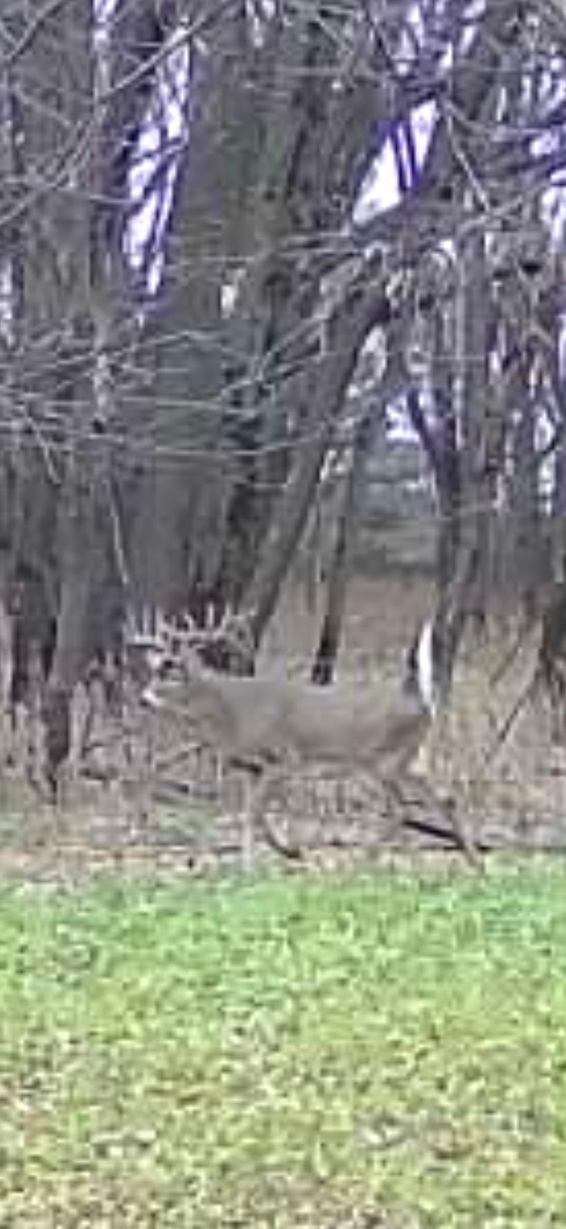 7239 River Road Chester, IA 52134 - Photo 7 of 16