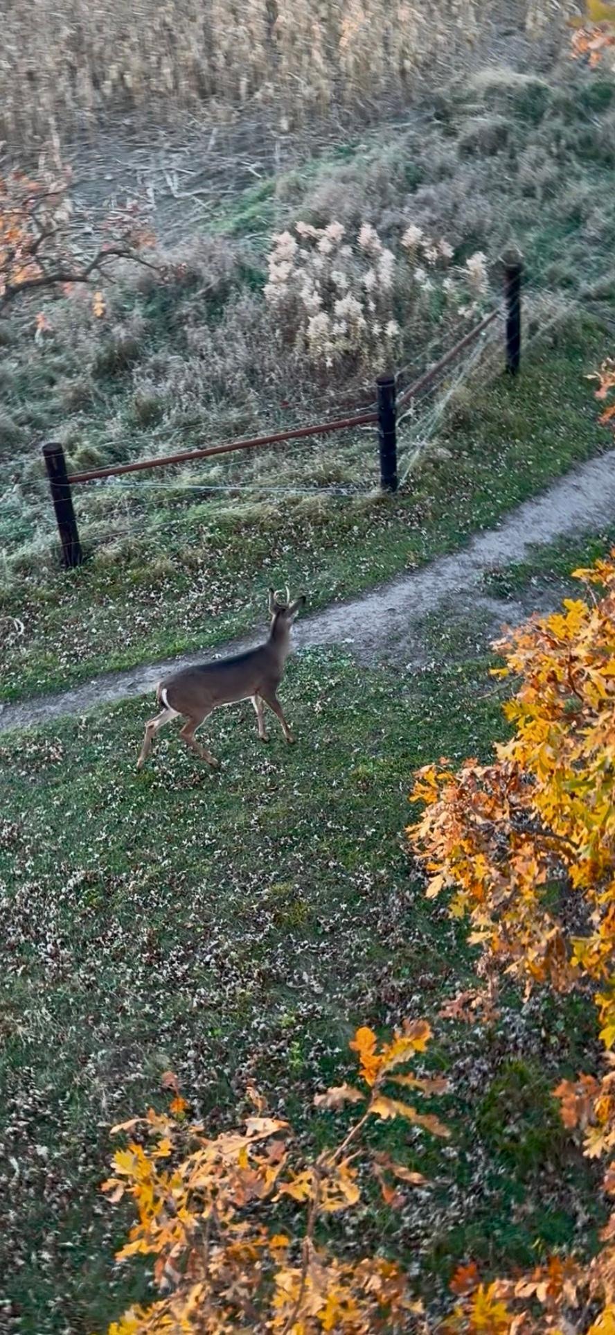 7239 River Road Chester, IA 52134 - Photo 8 of 16