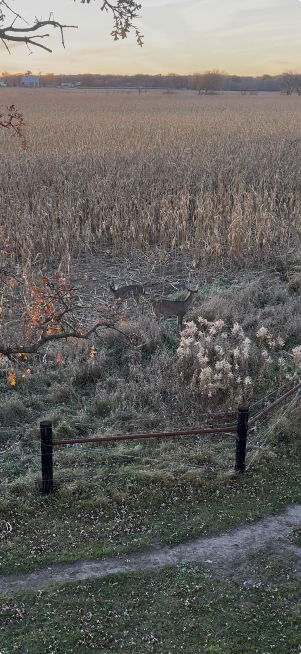 7239 River Road Chester, IA 52134 - Photo 10 of 16