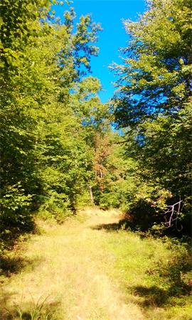 24 Reed Hill Road Wales, MA 01081 - Photo 3 of 15 Gallery Image 3