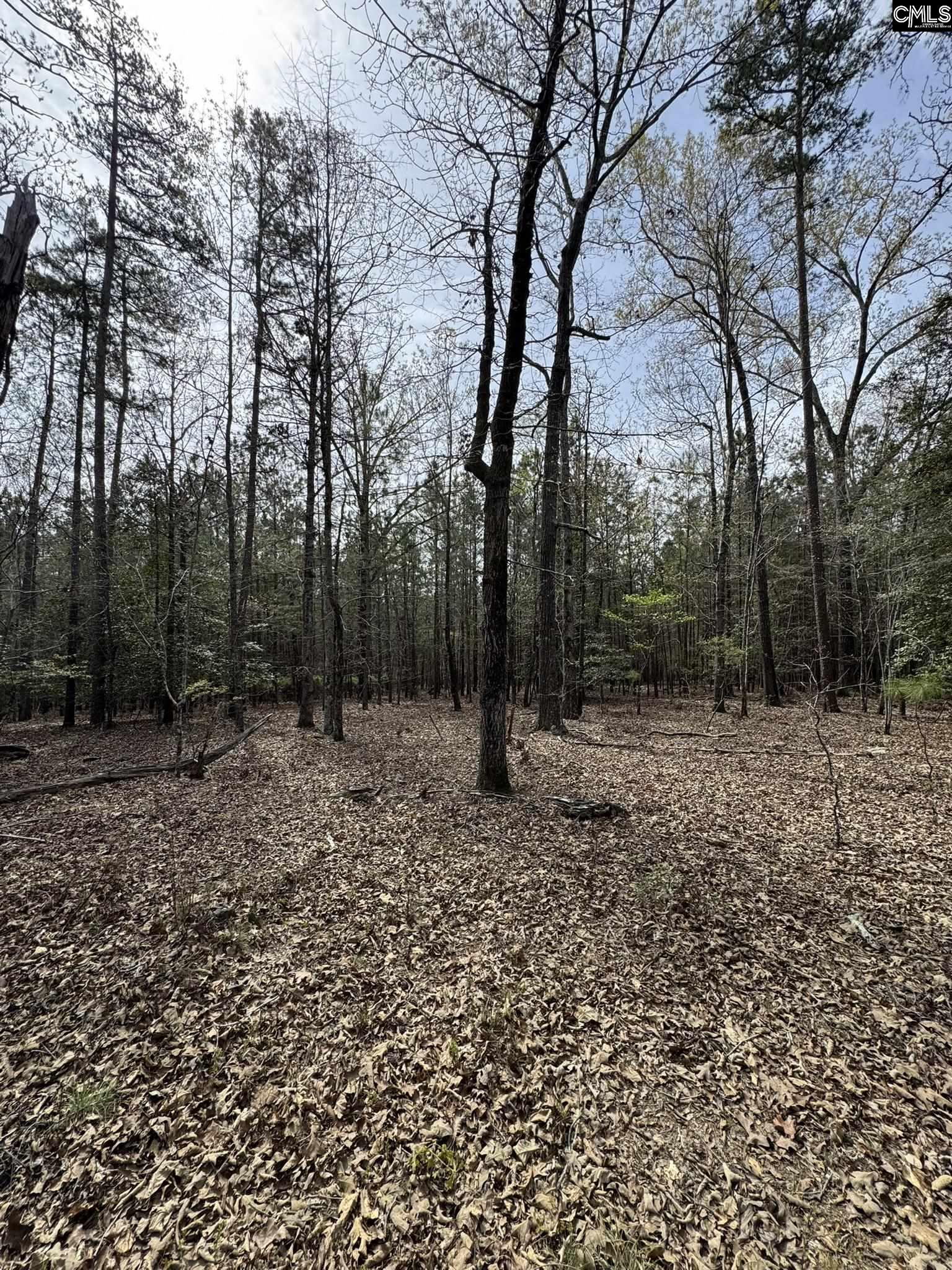 359 Holly Point Road Prosperity, SC 29127 - Photo 8 of 13