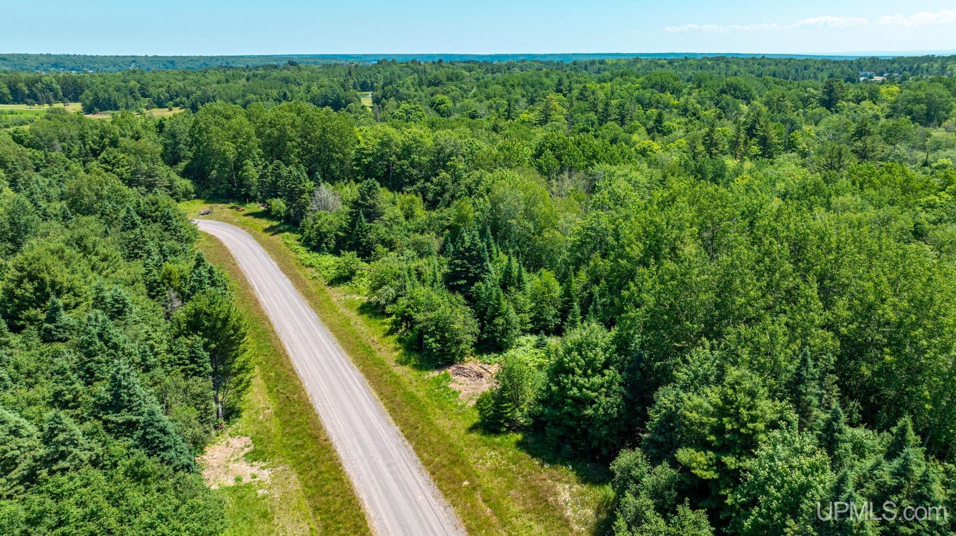 Tbd Parcel M22 River Trails Road Hancock, MI 49931 - Photo 2 of 9