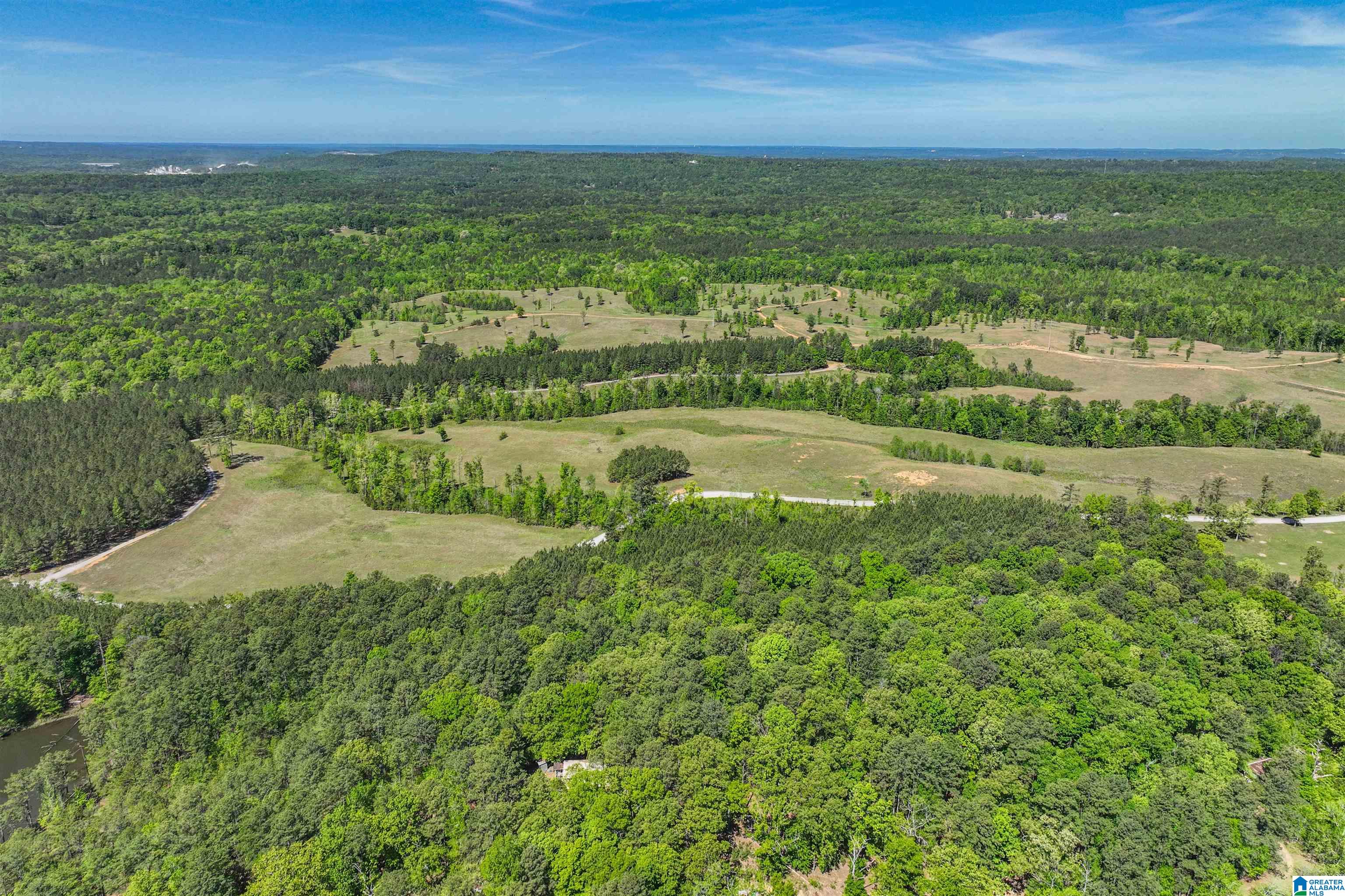 489 4 Wing Lake Road Alabaster, AL 35007 - Photo 14 of 27