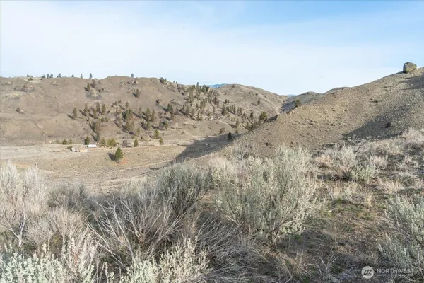 a view of a dry yard