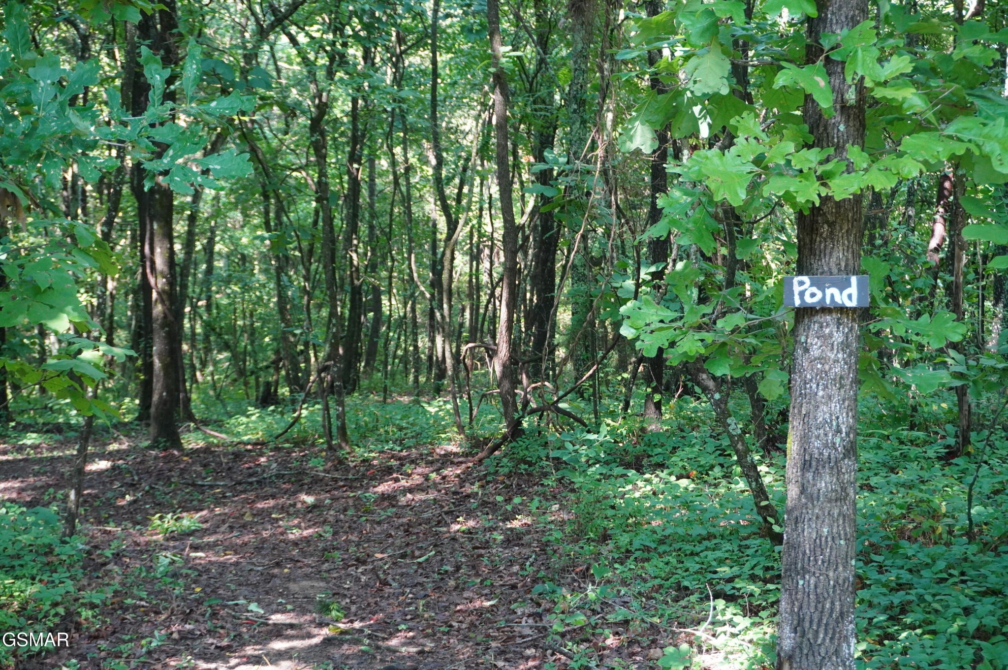 17 Pleasant View Cemetery Road New Market, TN 37820 - Photo 18 of 65 Gallery Image 18