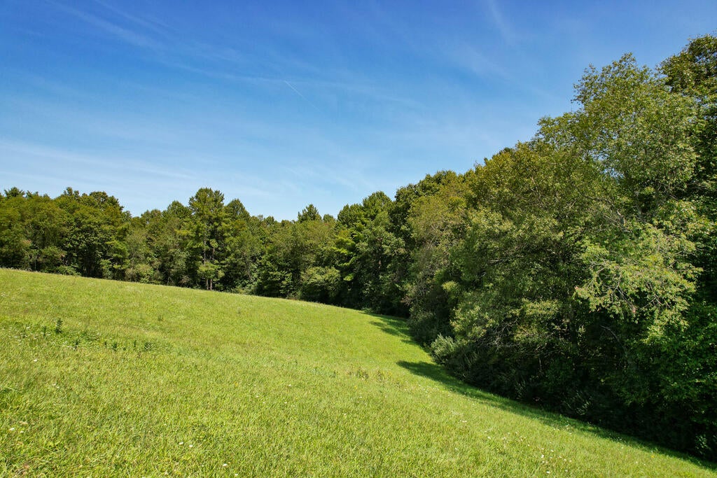 927 Kinzer Road, Unit 31F Hillsville, VA 24343 - Photo 6 of 34 Gallery Image 6