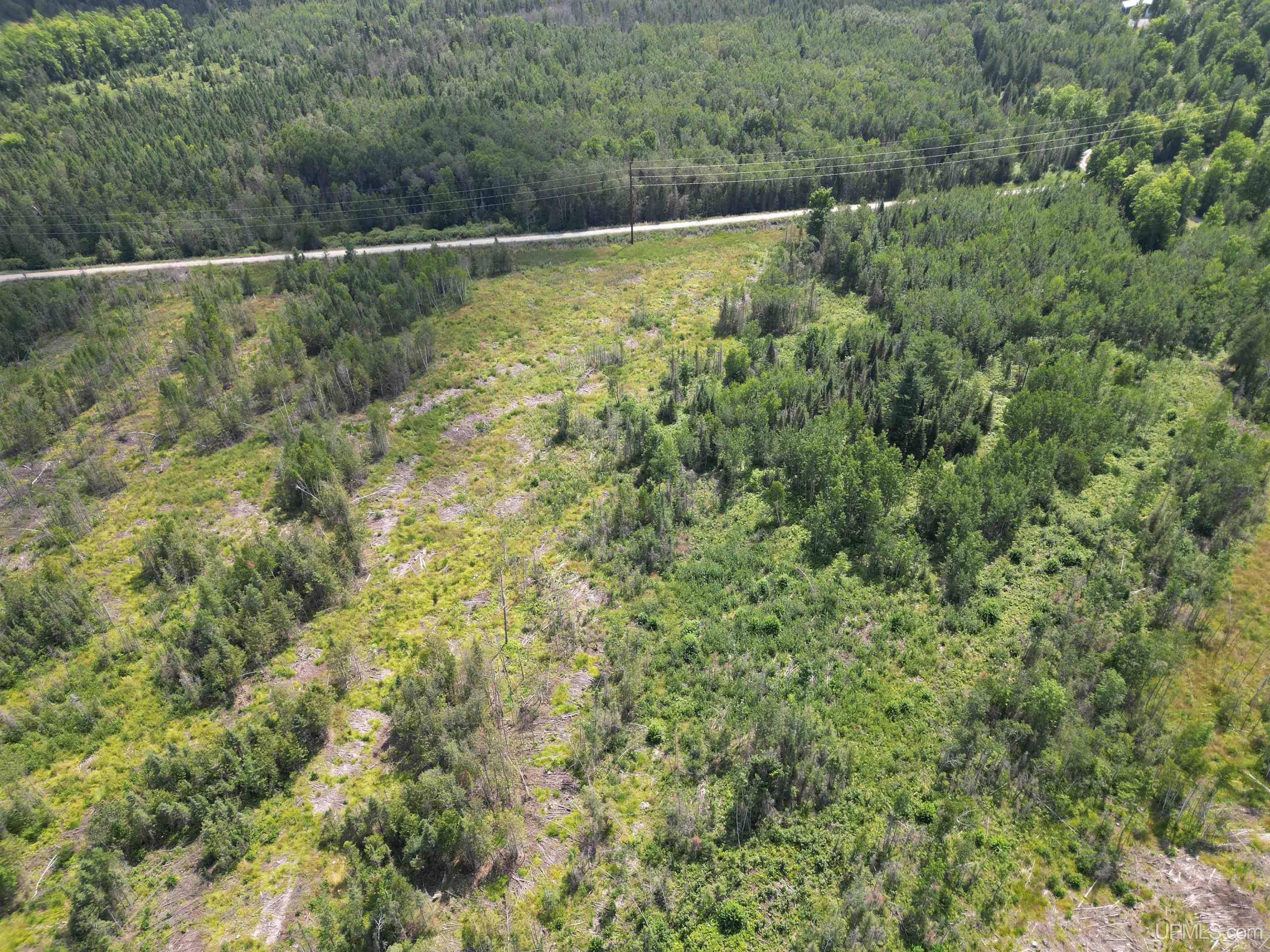 Tbd Cr 400 Road, Unit 23 Perronville, MI 49873 - Photo 7 of 19