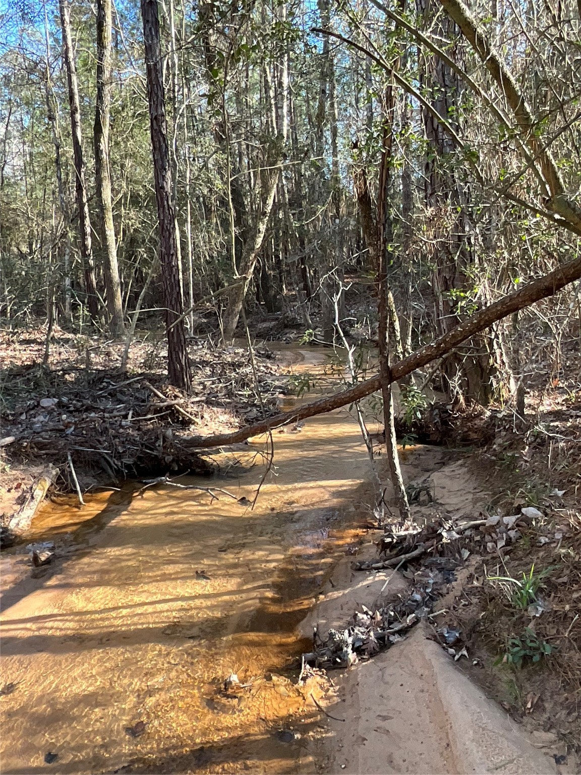 175 Exploration Road Willis, TX 77378 - Photo 3 of 5