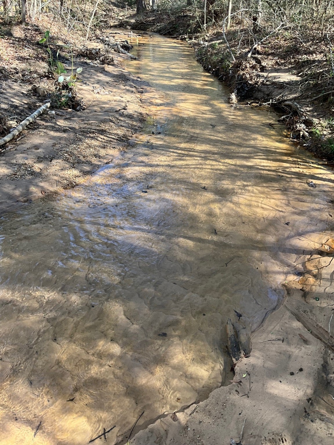 175 Exploration Road Willis, TX 77378 - Photo 4 of 5